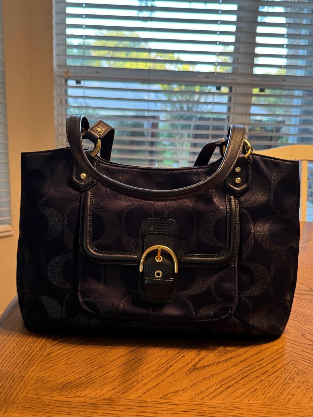 Coach F26246 Campbell Signature Belle Carryall a Y2K Signature Shoulder Tote.